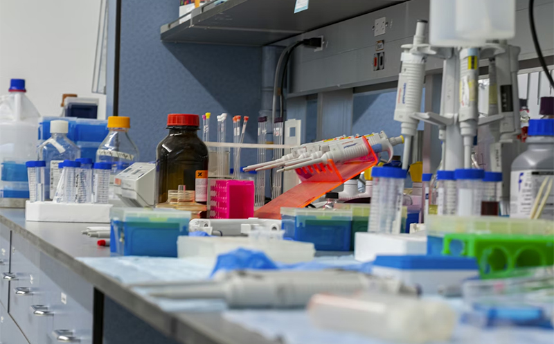 Mechano Growth Factor E Peptide: Potential Across Diverse Domains